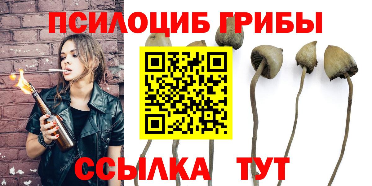 Галлюциногенные грибы MAGIC MUSHROOMS Москва