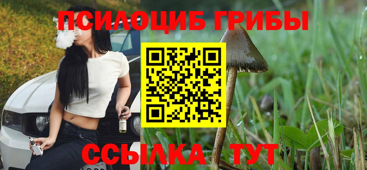 Псилоцибиновые грибы Cubensis  Вход с VPN  Москва 
